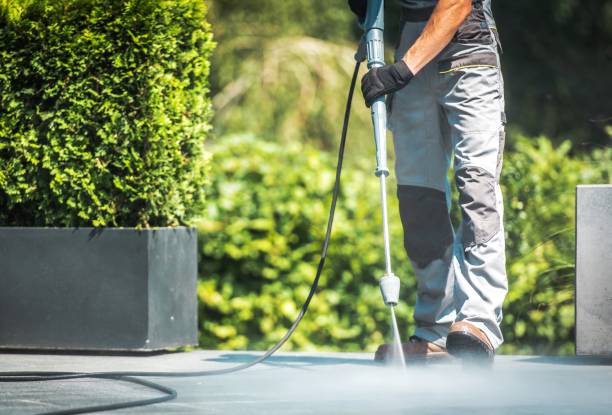 Best Patio and Deck Pressure Washing  in Newark, DE